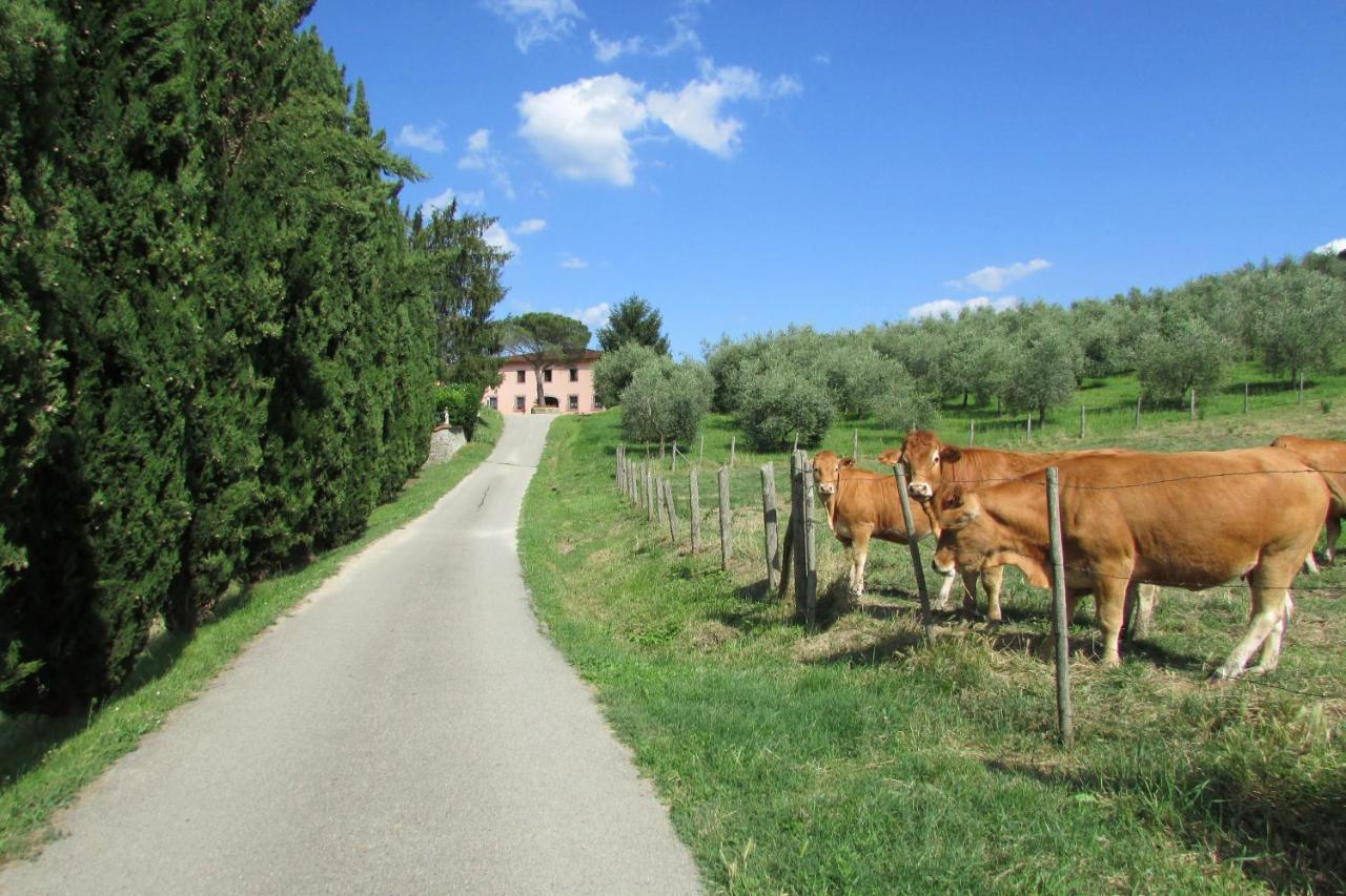 Trebbiolo Villa Dicomano Luaran gambar
