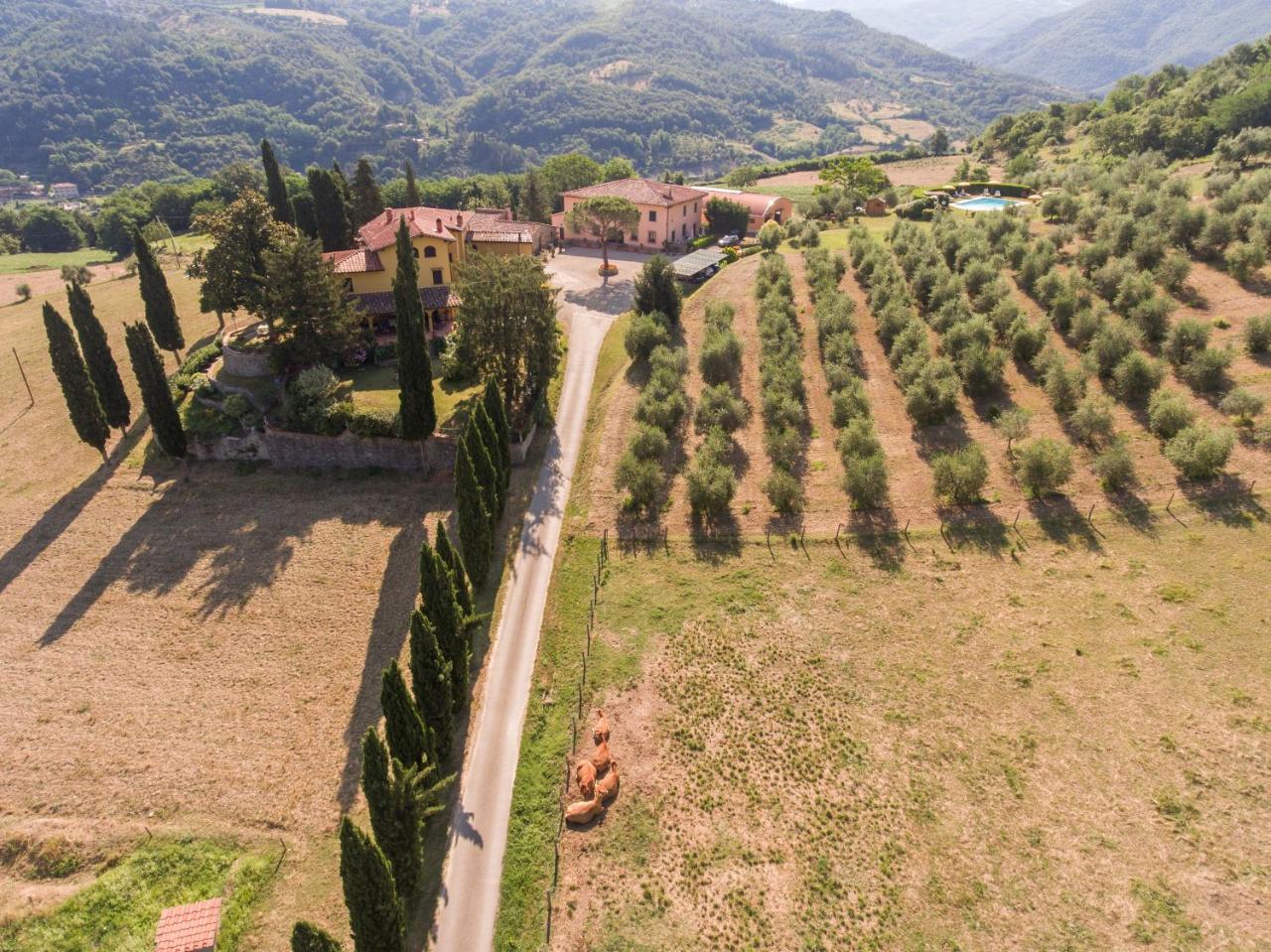 Trebbiolo Villa Dicomano Luaran gambar